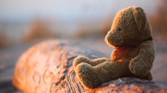 teddy bear alone